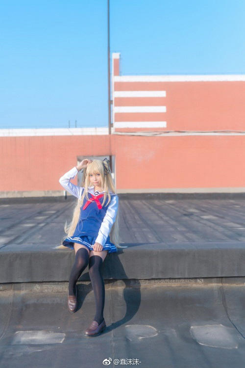 半岛平台网页版登录入口